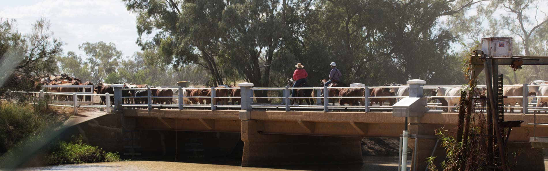 childcare-longreach-regional-council