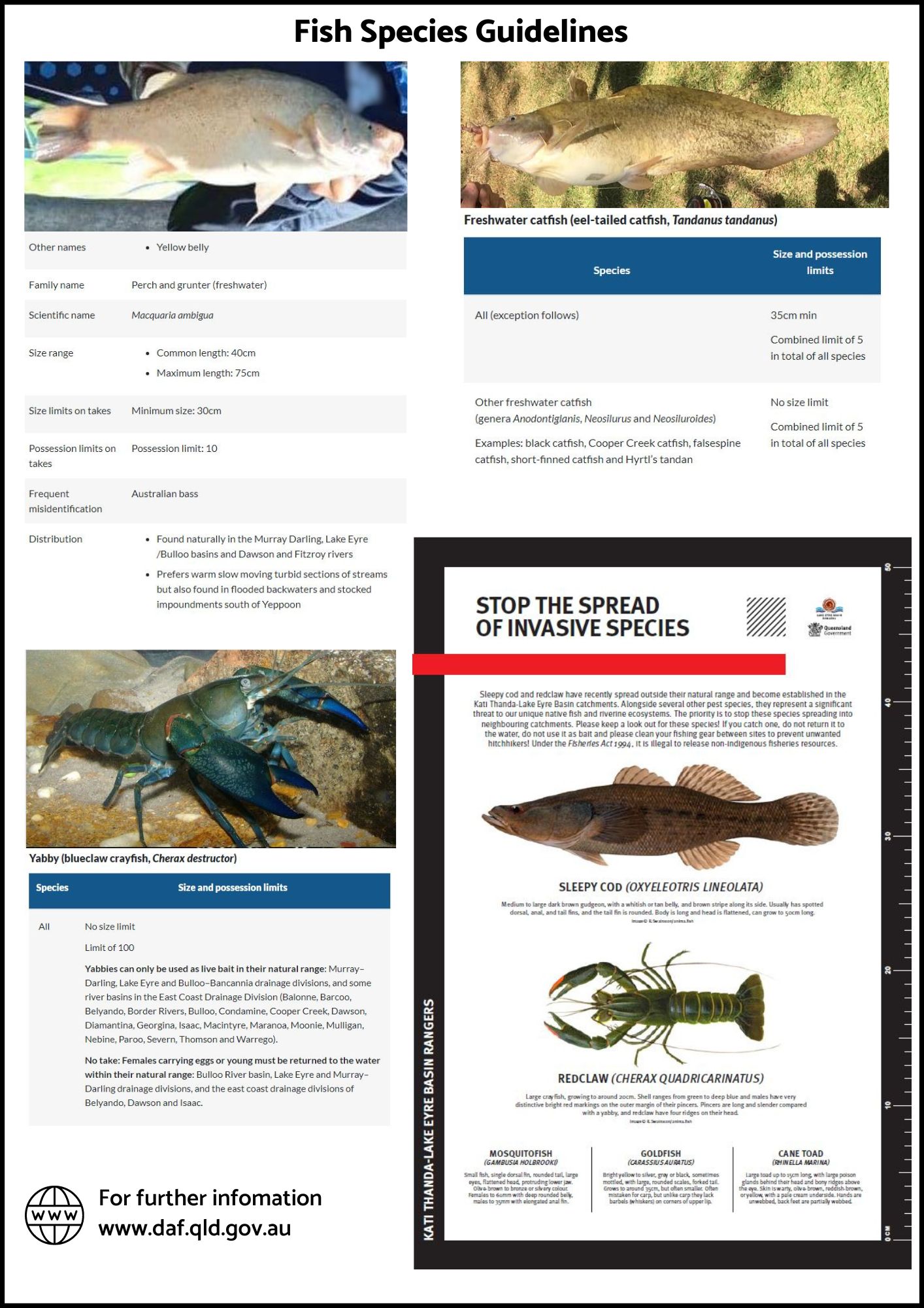 Fish species guide